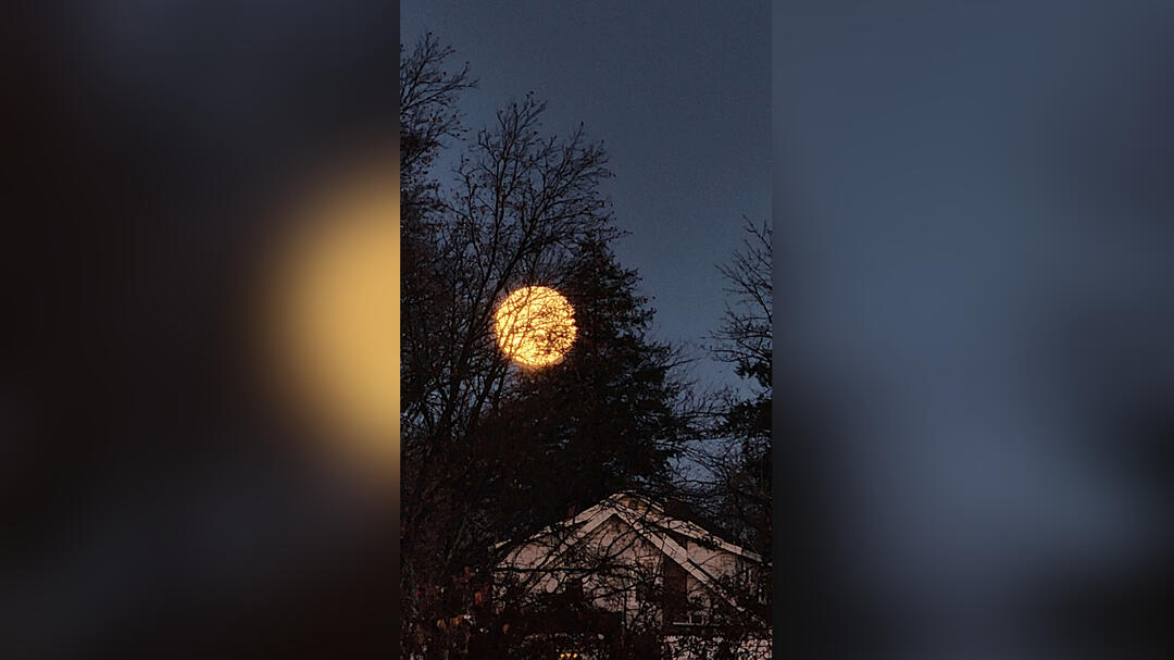 Behind the Weaved Curtain